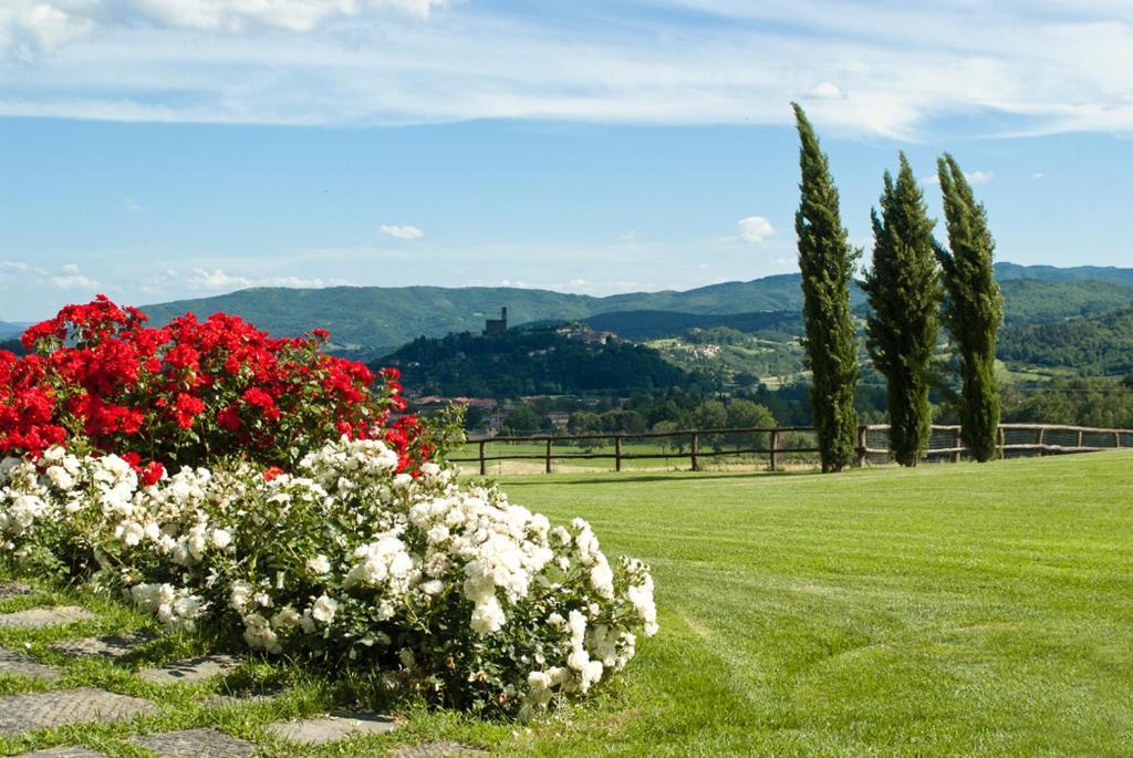 Antico Fio Guest House Poppi Bagian luar foto